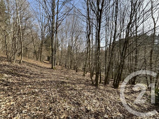 Maison &agrave; vendre - 3 pi&egrave;ces - 66,87 m2 - Le Saulcy - 88 - LORRAINE