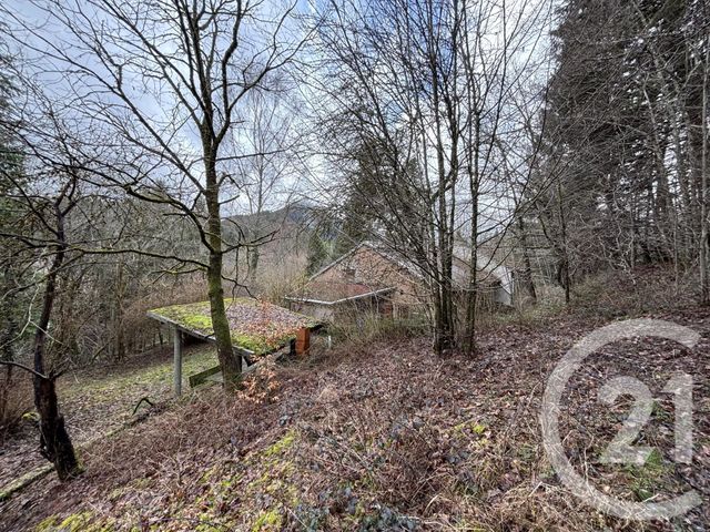 Maison &agrave; vendre - 3 pi&egrave;ces - 66,87 m2 - Le Saulcy - 88 - LORRAINE