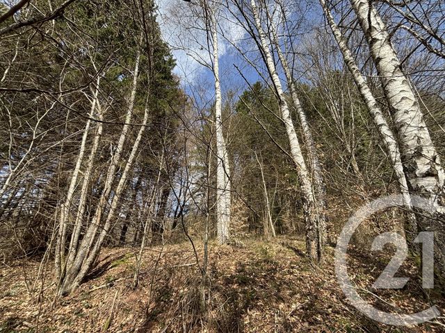 Maison &agrave; vendre - 3 pi&egrave;ces - 66,87 m2 - Le Saulcy - 88 - LORRAINE