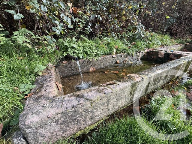 Maison à vendre - 3 pièces - 81 m2 - La Croix Aux Mines - 88 - LORRAINE