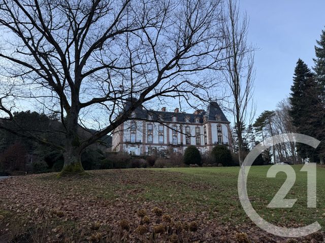 Appartement F8 à vendre - 8 pièces - 362,90 m2 - St Die Des Vosges - 88 - LORRAINE