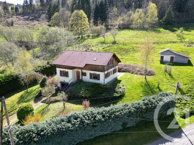 maison - LA CROIX AUX MINES - 88