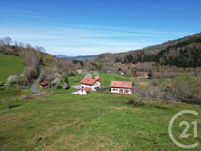 Maison &agrave; vendre - 5 pi&egrave;ces - 143 m2 - La Croix Aux Mines - 88 - LORRAINE