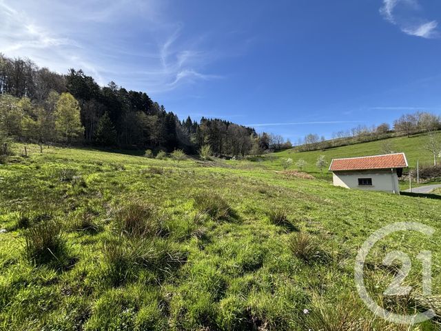 Maison &agrave; vendre - 5 pi&egrave;ces - 143 m2 - La Croix Aux Mines - 88 - LORRAINE