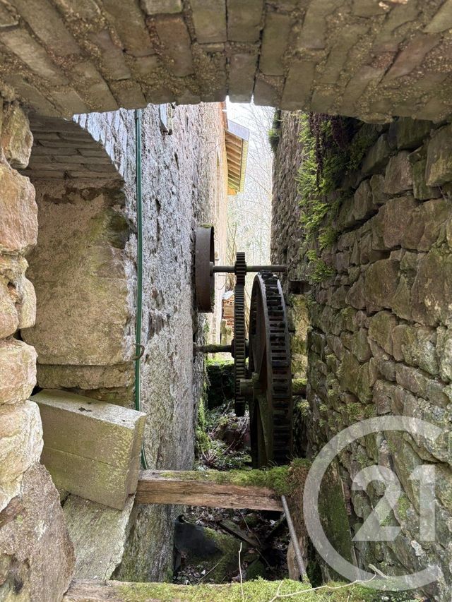 Maison &agrave; vendre - 12 pi&egrave;ces - 925,43 m2 - Ban De Sapt - 88 - LORRAINE