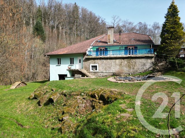 Maison &agrave; vendre - 12 pi&egrave;ces - 925,43 m2 - Ban De Sapt - 88 - LORRAINE