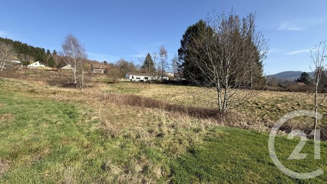 Terrain &agrave; vendre - 3765 m2 - Fraize - 88 - LORRAINE