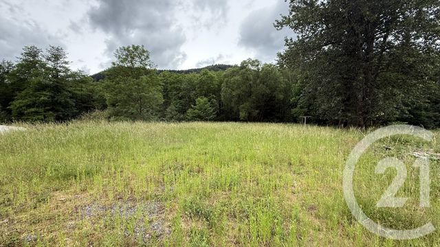 Maison &agrave; vendre - 4 pi&egrave;ces - 62,79 m2 - Allarmont - 88 - LORRAINE