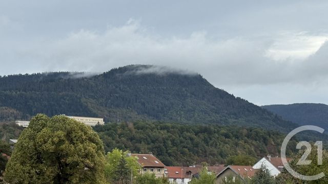 Appartement F3 &agrave; vendre - 3 pi&egrave;ces - 60,50 m2 - St Die Des Vosges - 88 - LORRAINE