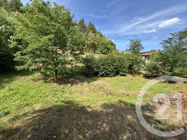 Maison &agrave; vendre - 6 pi&egrave;ces - 139 m2 - St Michel Sur Meurthe - 88 - LORRAINE