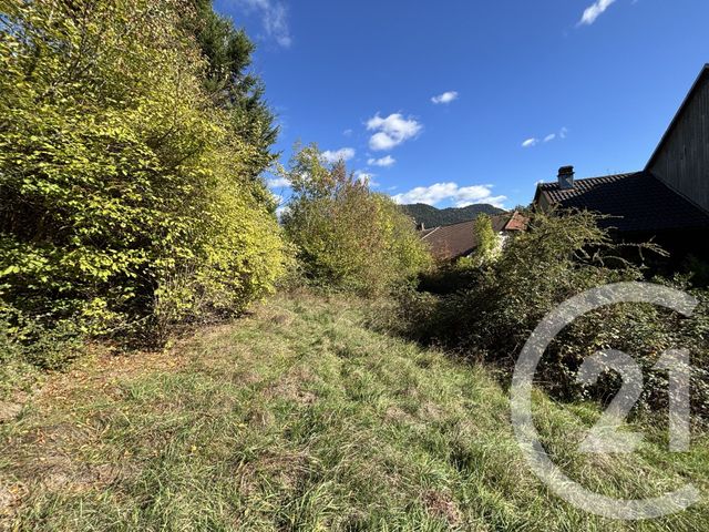 Maison &agrave; vendre - 11 pi&egrave;ces - 290 m2 - Moussey - 88 - LORRAINE