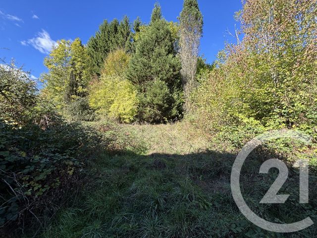 Maison &agrave; vendre - 11 pi&egrave;ces - 290 m2 - Moussey - 88 - LORRAINE