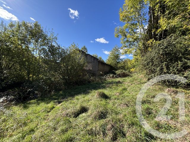 Maison &agrave; vendre - 11 pi&egrave;ces - 290 m2 - Moussey - 88 - LORRAINE