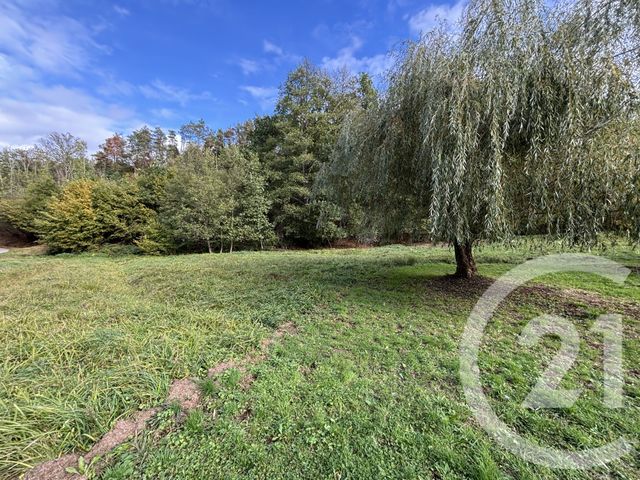 Maison &agrave; vendre - 3 pi&egrave;ces - 78 m2 - Taintrux - 88 - LORRAINE