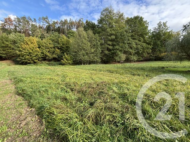 Maison &agrave; vendre - 3 pi&egrave;ces - 78 m2 - Taintrux - 88 - LORRAINE