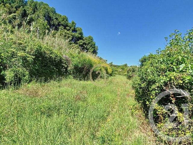 Terrain &agrave; vendre - 3958 m2 - St Chamas - 13 - PROVENCE-ALPES-COTE-D-AZUR