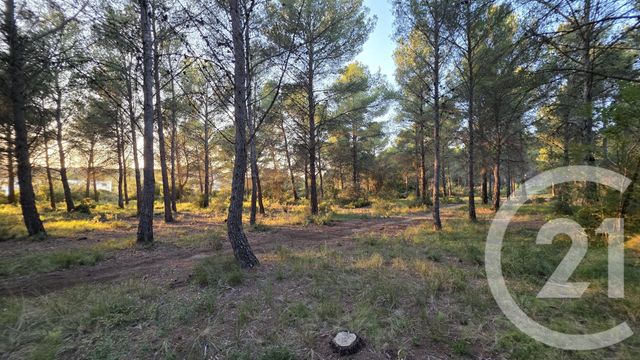 terrain - ST MITRE LES REMPARTS - 13