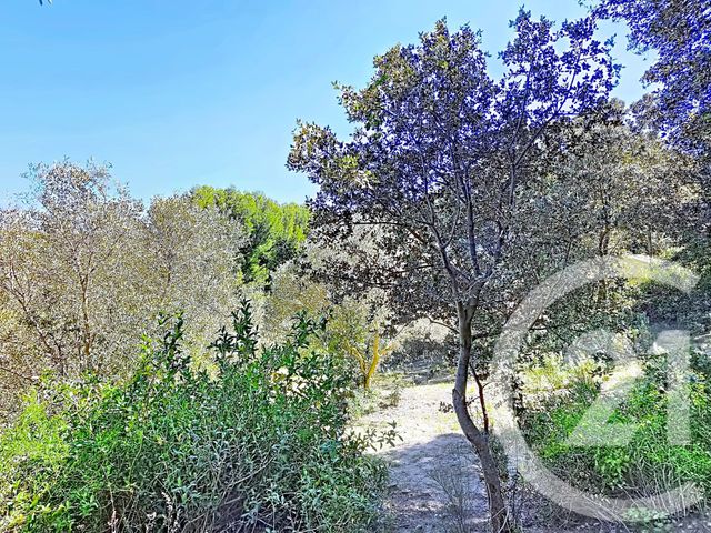 Terrain &agrave; vendre - 2029 m2 - Istres - 13 - PROVENCE-ALPES-COTE-D-AZUR