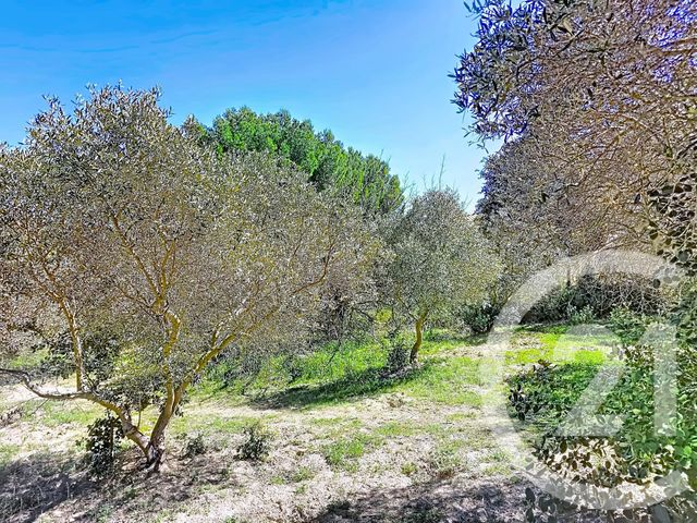 Terrain &agrave; vendre - 2029 m2 - Istres - 13 - PROVENCE-ALPES-COTE-D-AZUR