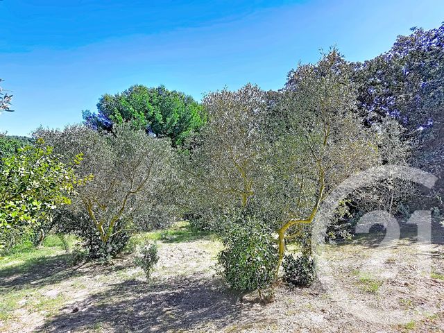 Terrain &agrave; vendre - 2029 m2 - Istres - 13 - PROVENCE-ALPES-COTE-D-AZUR