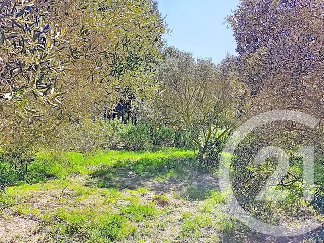 Terrain &agrave; vendre - 2029 m2 - Istres - 13 - PROVENCE-ALPES-COTE-D-AZUR