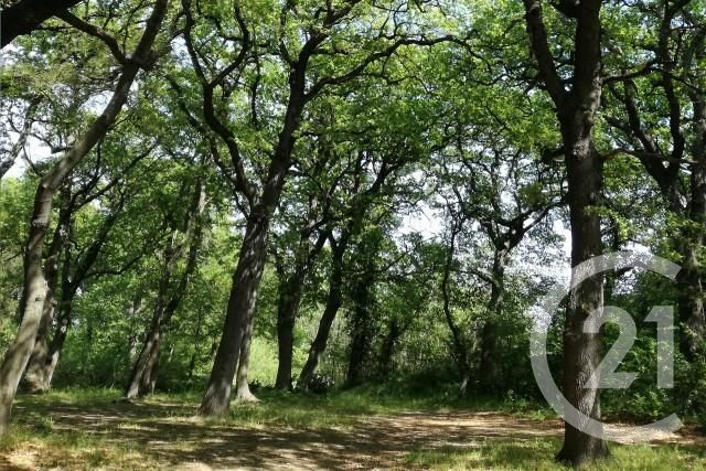 Terrain &agrave; vendre - 7237 m2 - Istres - 13 - PROVENCE-ALPES-COTE-D-AZUR