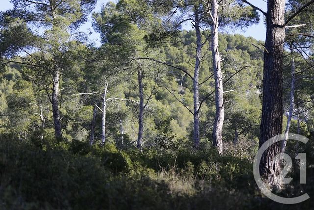 Terrain &agrave; vendre - 7237 m2 - Istres - 13 - PROVENCE-ALPES-COTE-D-AZUR