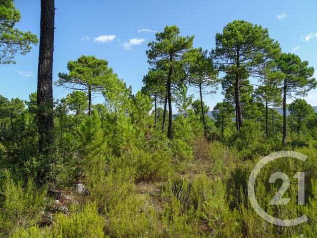 Terrain &agrave; vendre - 7237 m2 - Istres - 13 - PROVENCE-ALPES-COTE-D-AZUR