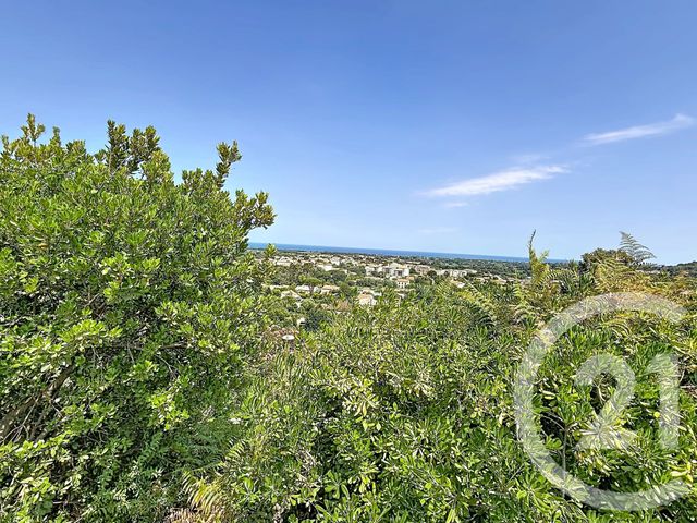 Maison &agrave; vendre - 4 pi&egrave;ces - 112 m2 - Penta Di Casinca - 202 - CORSE