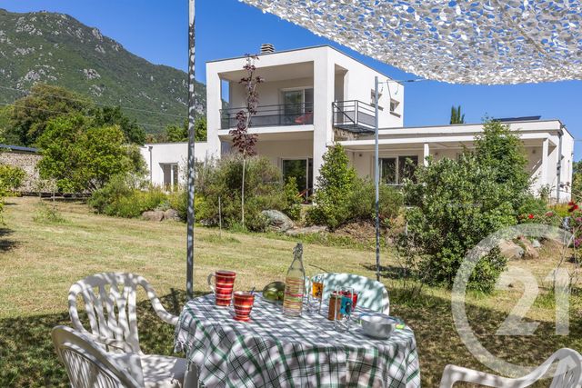 Maison &agrave; vendre - 4 pi&egrave;ces - 155 m2 - Santa Maria Poggio - 202 - CORSE