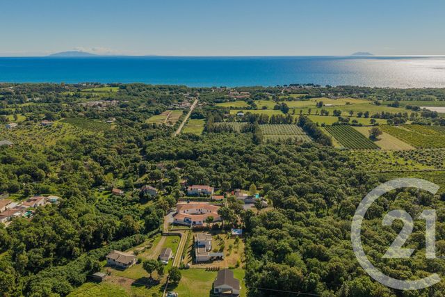 Maison &agrave; vendre - 4 pi&egrave;ces - 155 m2 - Santa Maria Poggio - 202 - CORSE