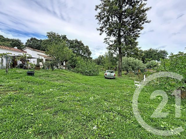 Terrain &agrave; vendre - 2100 m2 - Santa Lucia Di Moriani - 202 - CORSE
