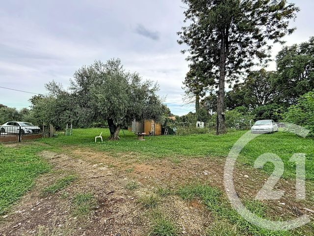 Terrain &agrave; vendre - 2100 m2 - Santa Lucia Di Moriani - 202 - CORSE
