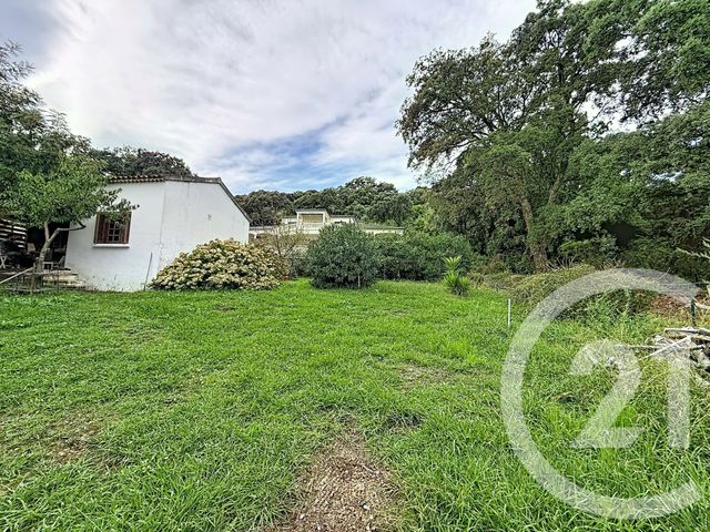 Terrain &agrave; vendre - 2100 m2 - Santa Lucia Di Moriani - 202 - CORSE