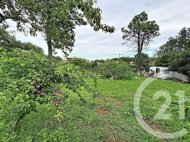 Terrain &agrave; vendre - 2100 m2 - Santa Lucia Di Moriani - 202 - CORSE