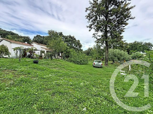 Terrain &agrave; vendre - 2100 m2 - Santa Lucia Di Moriani - 202 - CORSE