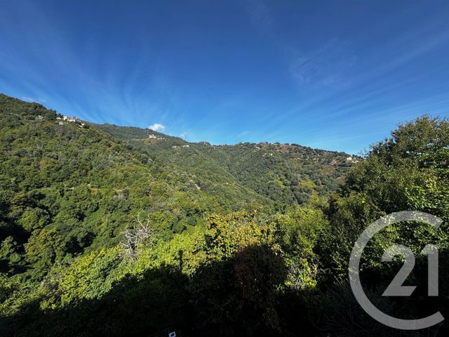 Maison à vendre - 4 pièces - 96 m2 - San Nicolao - 202 - CORSE