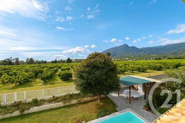 Maison &agrave; vendre - 4 pi&egrave;ces - 140 m2 - Santa Lucia Di Moriani - 202 - CORSE