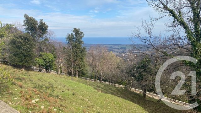 Terrain &agrave; vendre - 3000 m2 - Penta Di Casinca - 202 - CORSE