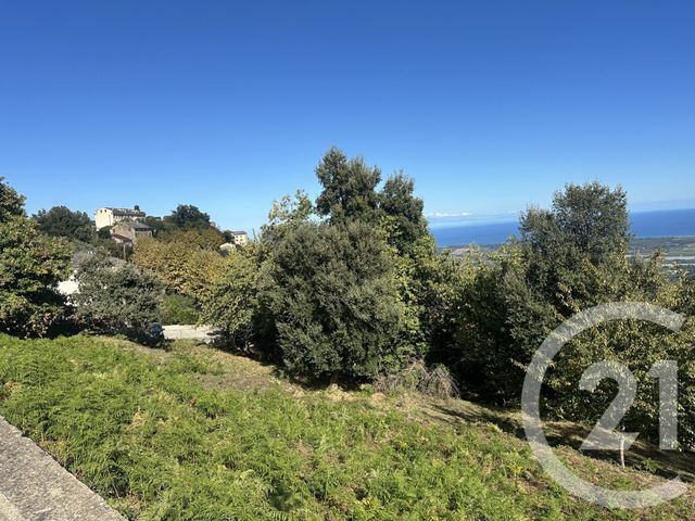 Terrain &agrave; vendre - 3000 m2 - Penta Di Casinca - 202 - CORSE