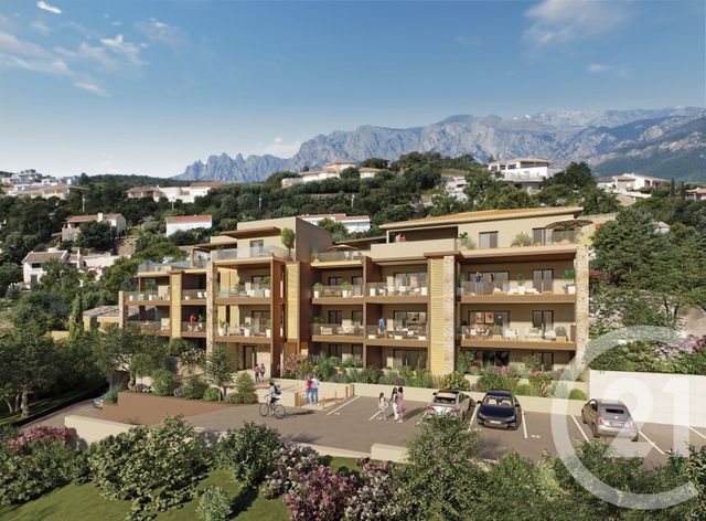 appartement - SARI SOLENZARA - 201