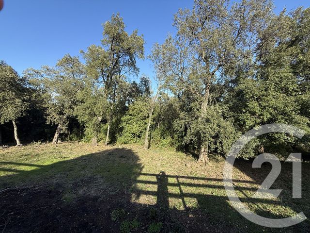 Maison &agrave; vendre - 5 pi&egrave;ces - 214 m2 - Santa Maria Poggio - 202 - CORSE