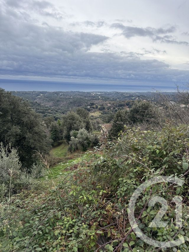 Terrain &agrave; vendre - 7200 m2 - Cervione - 202 - CORSE