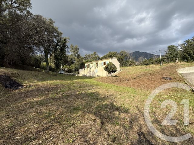 Maison &agrave; vendre - 3 pi&egrave;ces - 77 m2 - Valle Di Campoloro - 202 - CORSE