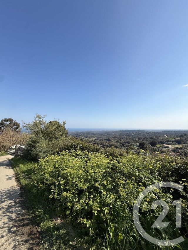 terrain - CERVIONE - 202