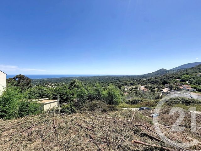 Terrain &agrave; vendre - 630 m2 - Cervione - 202 - CORSE