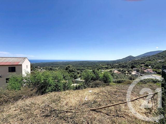 Terrain &agrave; vendre - 630 m2 - Cervione - 202 - CORSE