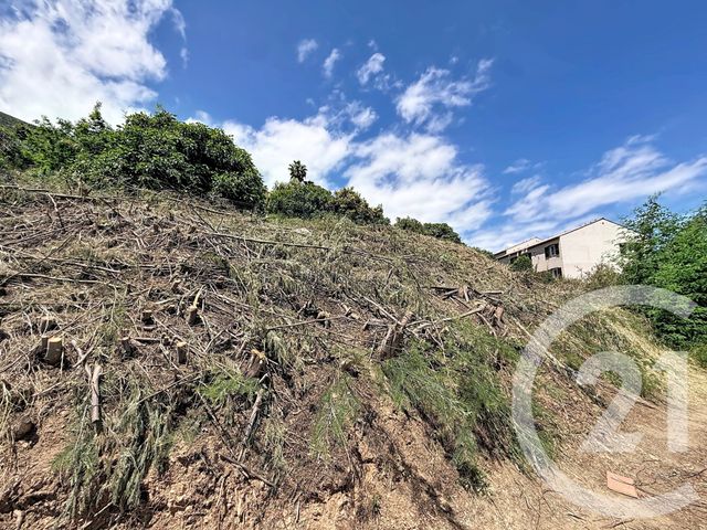 Terrain &agrave; vendre - 630 m2 - Cervione - 202 - CORSE