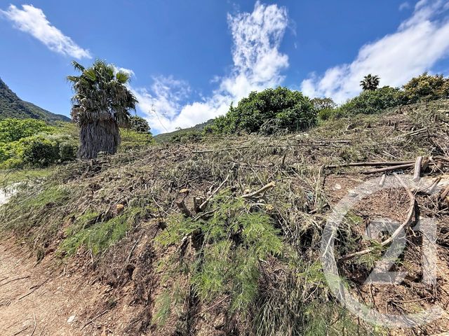 Terrain &agrave; vendre - 630 m2 - Cervione - 202 - CORSE