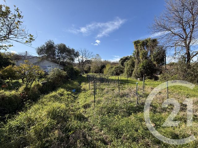 Terrain &agrave; vendre - 2395 m2 - Santa Lucia Di Moriani - 202 - CORSE